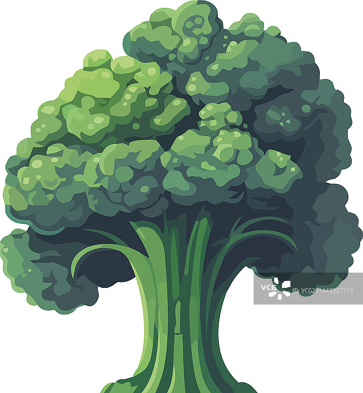 有机西兰花新鲜蔬菜图片素材