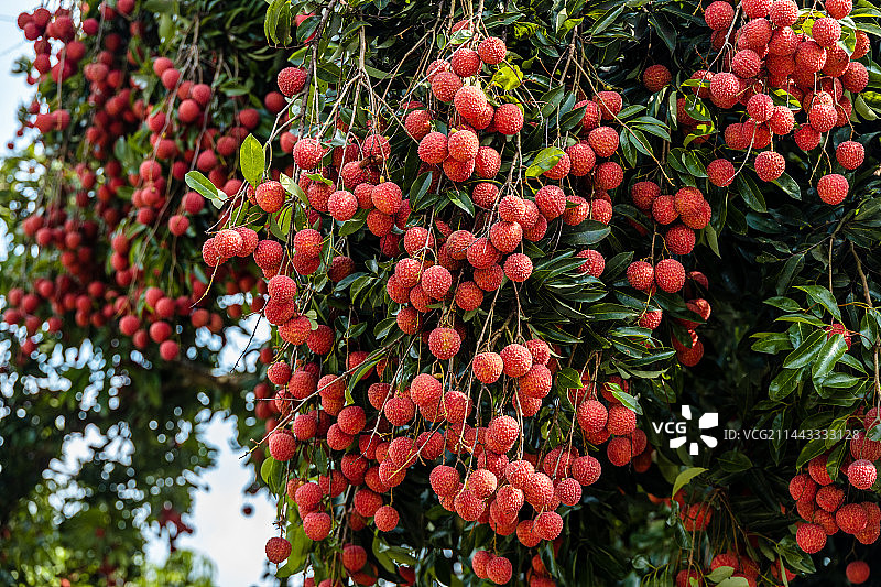 中国广东省广州市从化区温泉镇南平静修小镇图片素材