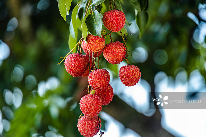 中国广东省广州市从化区温泉镇南平静修小镇图片素材