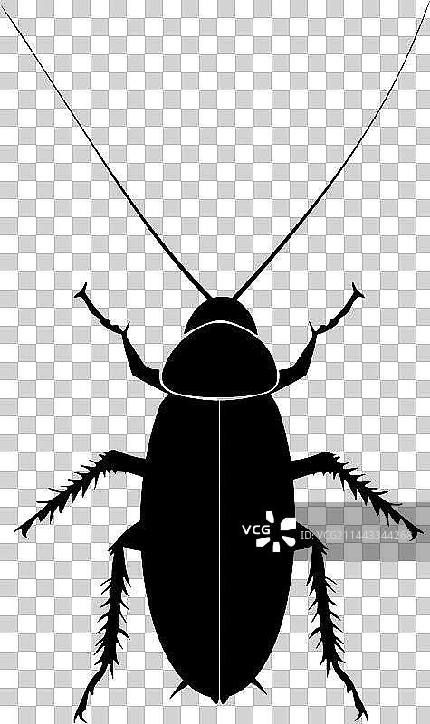 蟑螂黑白手绘贴纸风格插画高清图片素材