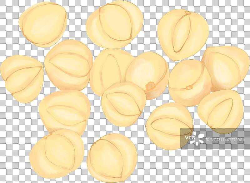 中药素材之川贝，又川贝母是一味化痰止咳平喘药图片素材