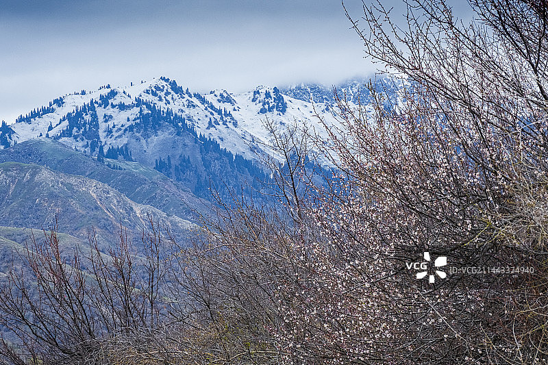 暴雨后的福寿山杏花谷图片素材