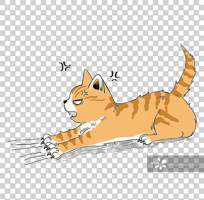 炸毛的橘猫图片素材