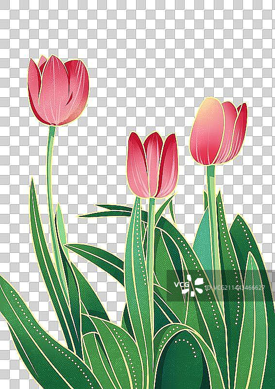 国风百合花植物绿色清新插画元素图片素材