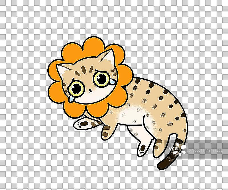 虎斑猫-委屈表情图片素材