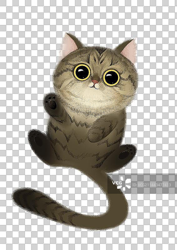 免扣狸花猫图片素材