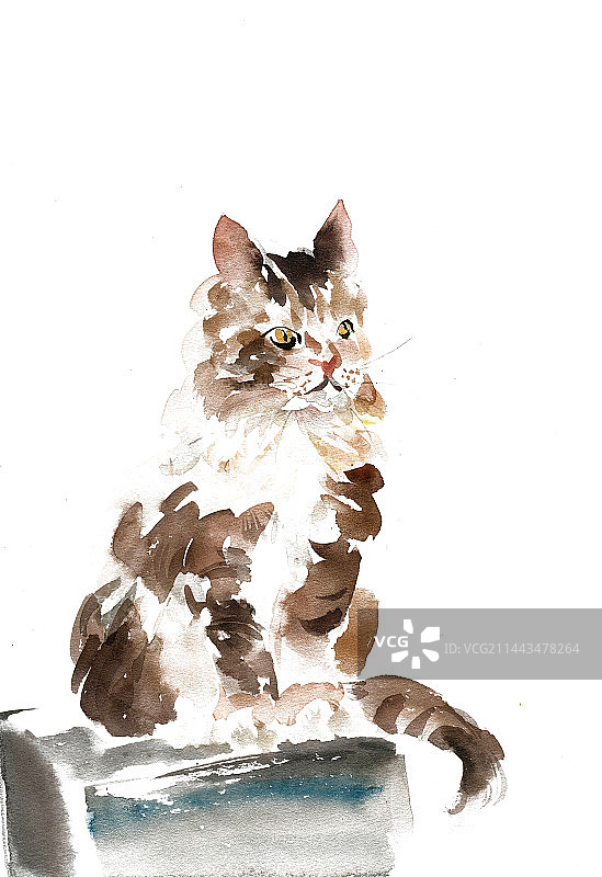 台子上的小猫图片素材