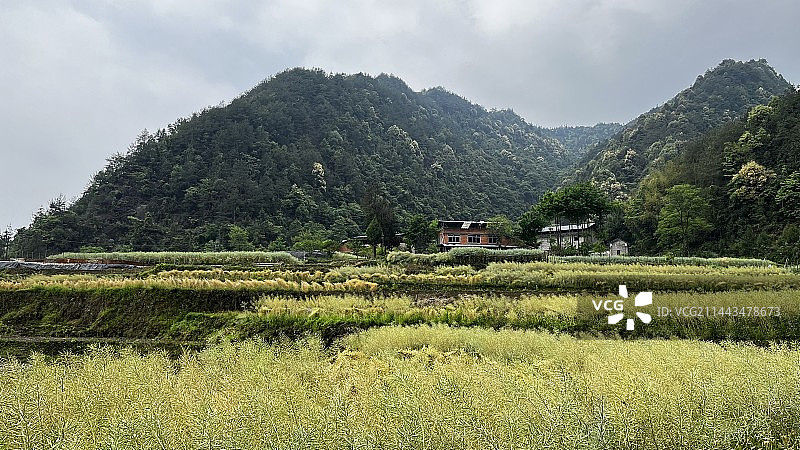 万梁古道山谷中的农舍和梯田图片素材