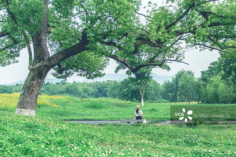良渚文化遗产公园图片素材