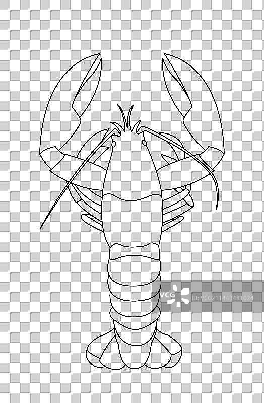 长沙小吃口味虾麻辣小龙虾插画图片素材