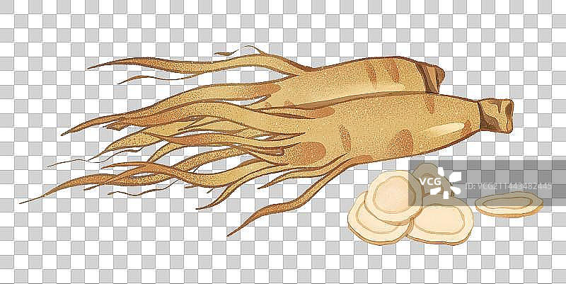 中药西洋参片元素图片素材