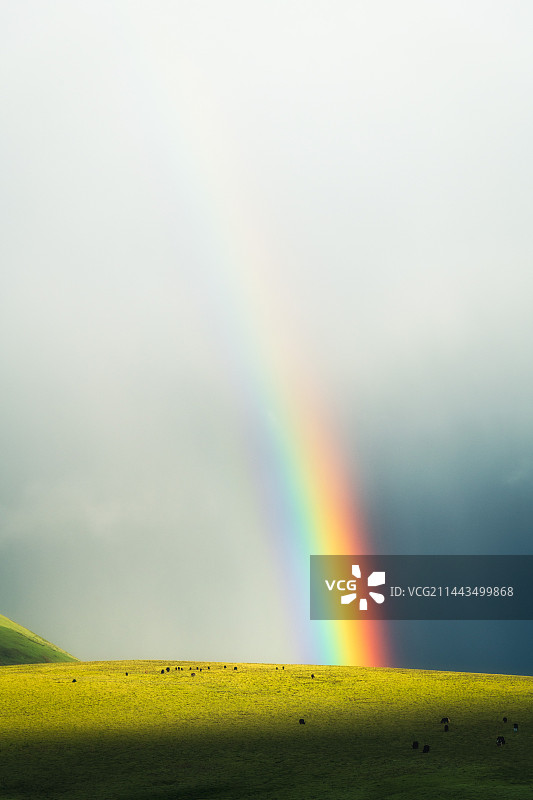 吃定彩虹图片素材