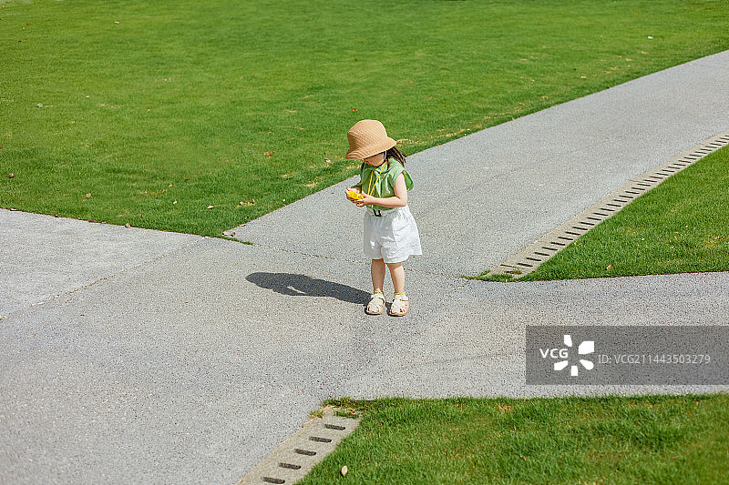 她的绿色世界图片素材