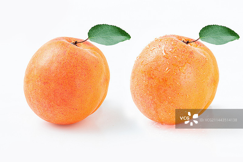 白底上的两颗独立的新鲜红杏特写图片素材