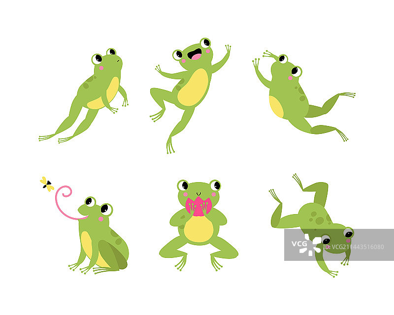 可爱的绿色鼓眼青蛙图片素材