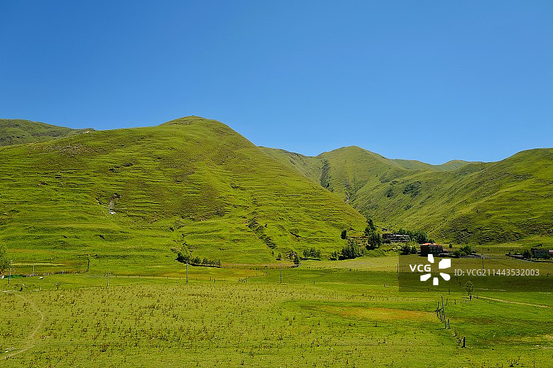 青青草地图片素材