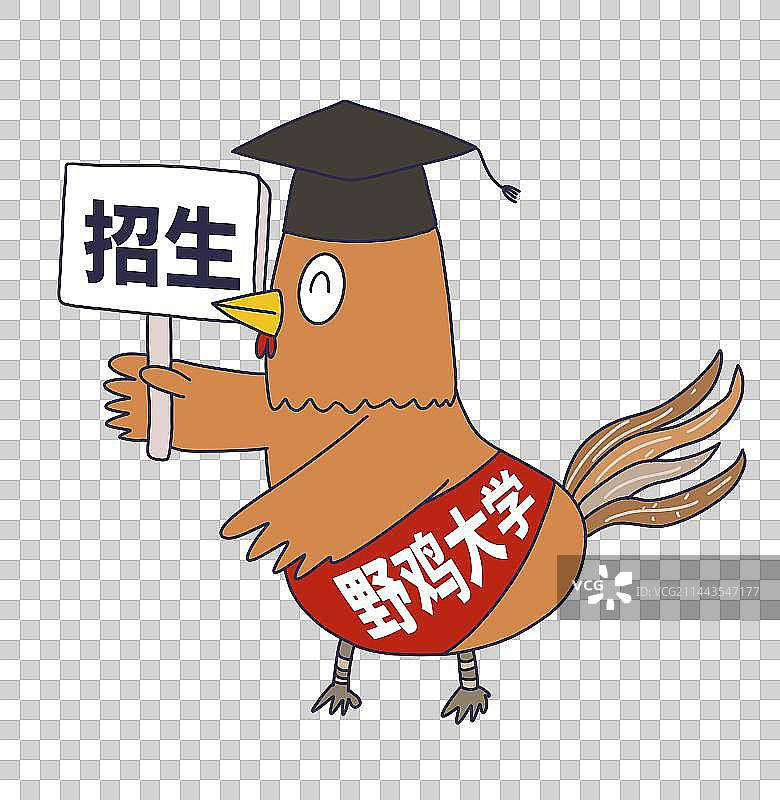 元素：野鸡大学图片素材