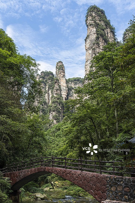 张家界金鞭溪峡谷景观图片素材