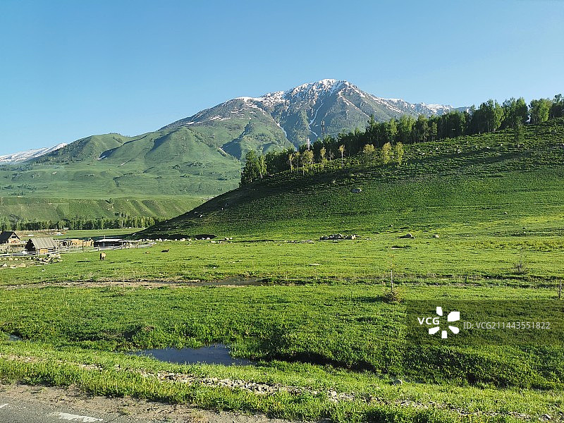 雪山下的禾木小镇图片素材