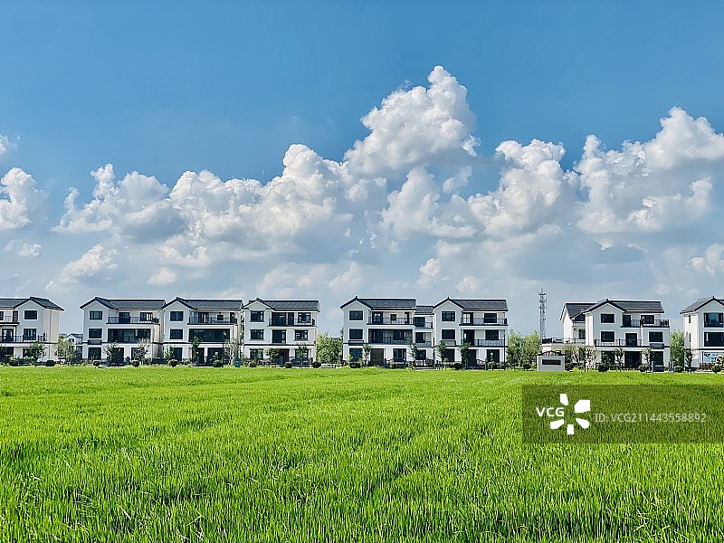 蓝天白云下的绿色草地图片素材