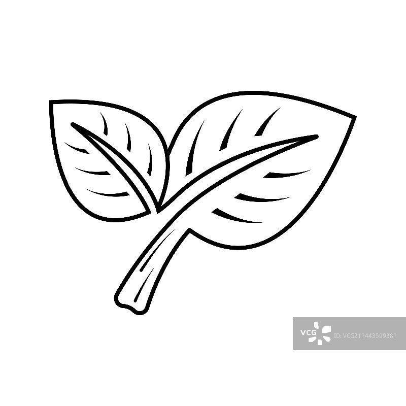 叶图标图片素材