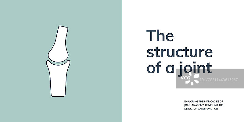 时尚关节结构banner图片素材