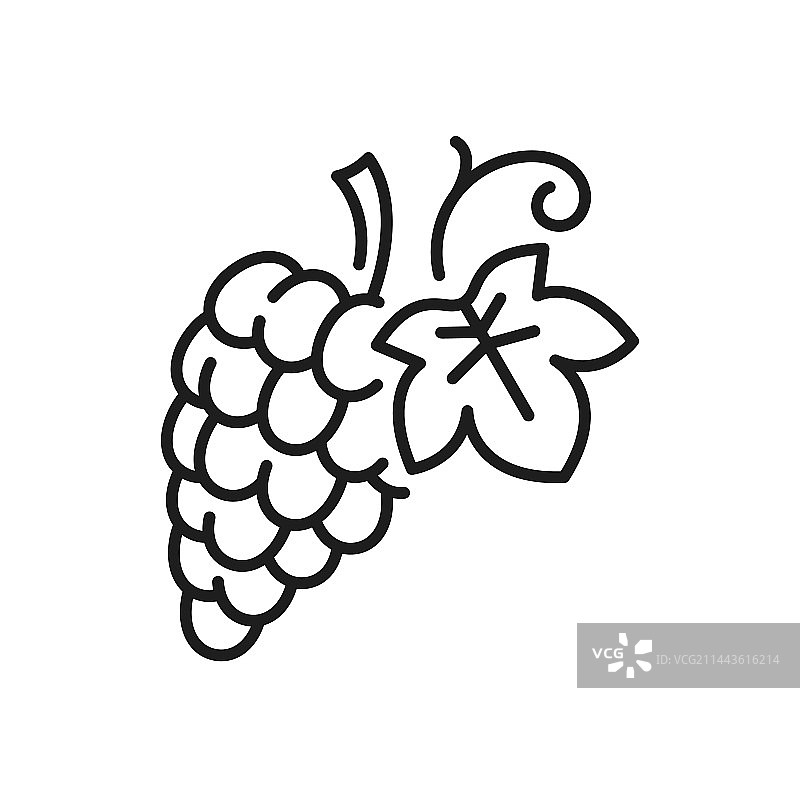 带叶葡萄藤线条图标图片素材