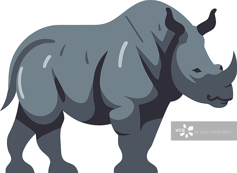 站立的大角牛在吃草图片素材