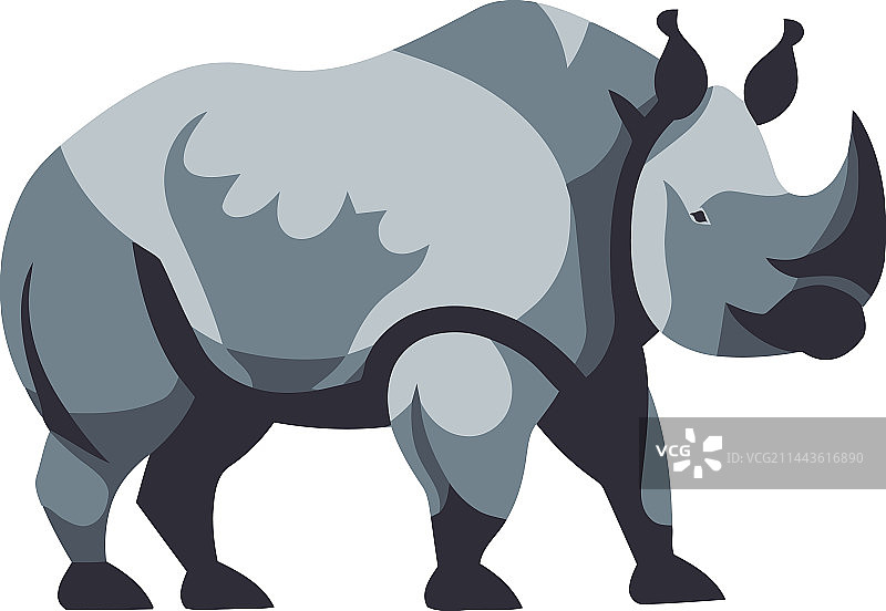 草地上的大型犀牛图片素材