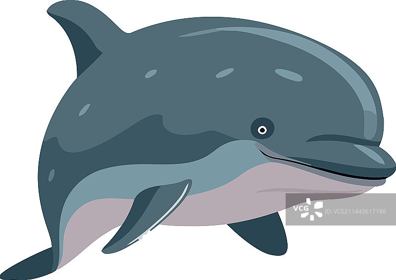 可爱的海豚游泳图片素材
