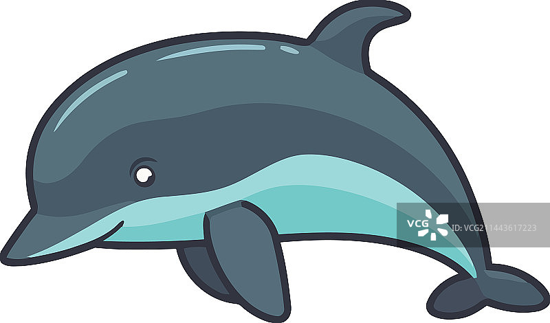 可爱的海豚跳跃图片素材