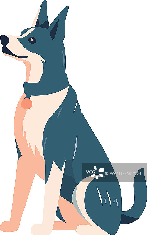 可爱的狗狗坐着图片素材