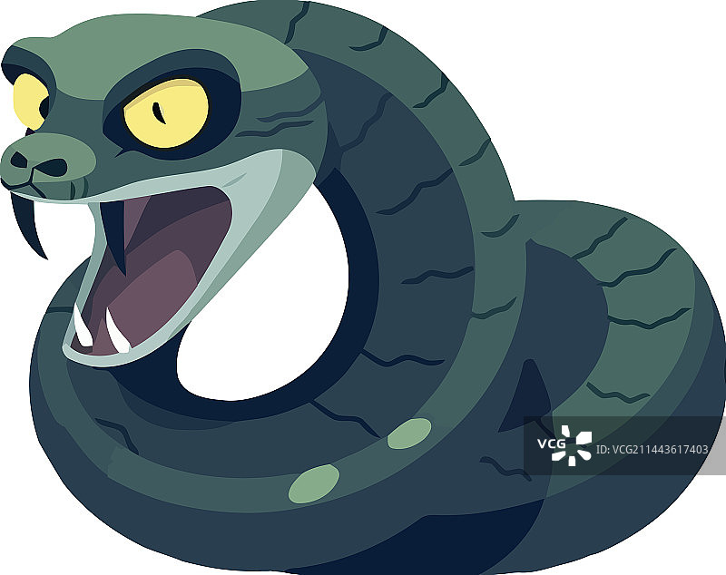 吐着毒舌的可爱毒蛇图片素材