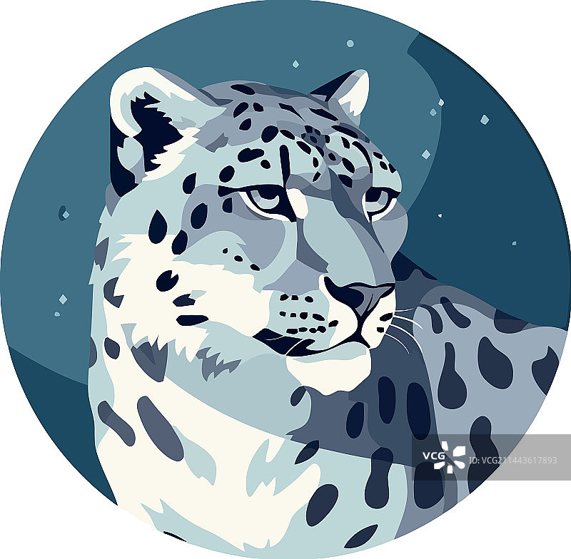 大型猫科动物猎手观察冬季森林动物图片素材