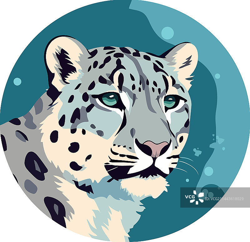 大型猫科动物在野外观察危险图片素材