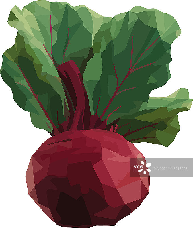 新鲜素食甜菜健康餐图片素材