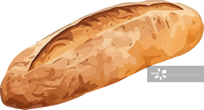 用有机小麦粉烘烤的新鲜法棍图片素材