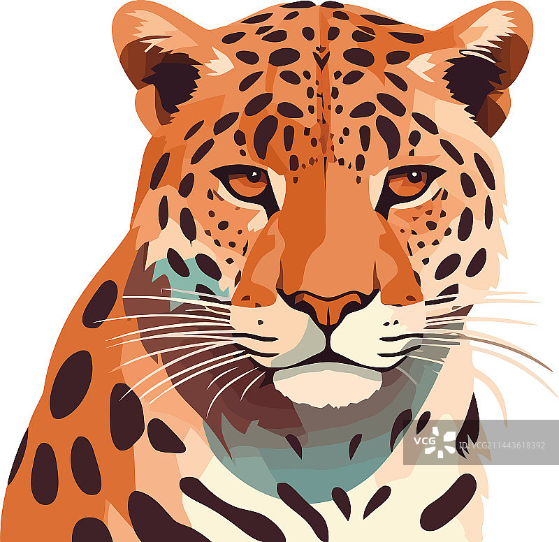 斑点猎豹设计图片素材