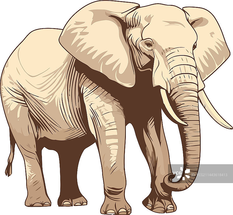非洲象设计图片素材