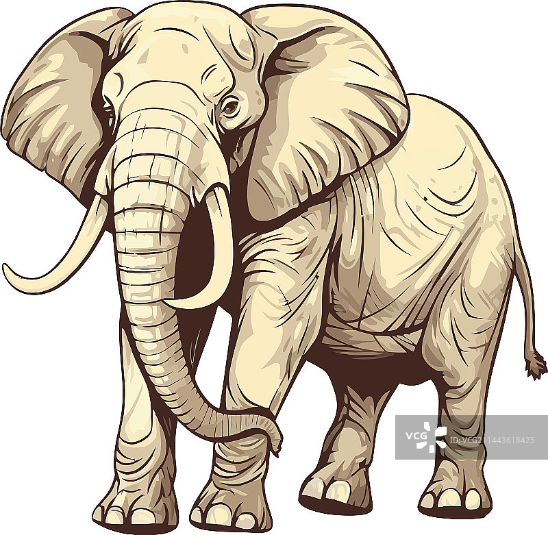 非洲象行走图片素材