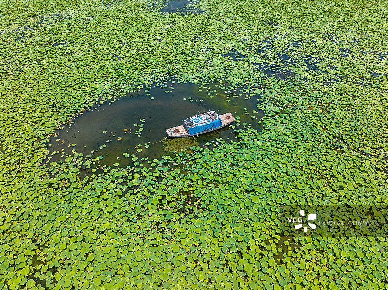 微山湖微山岛图片素材