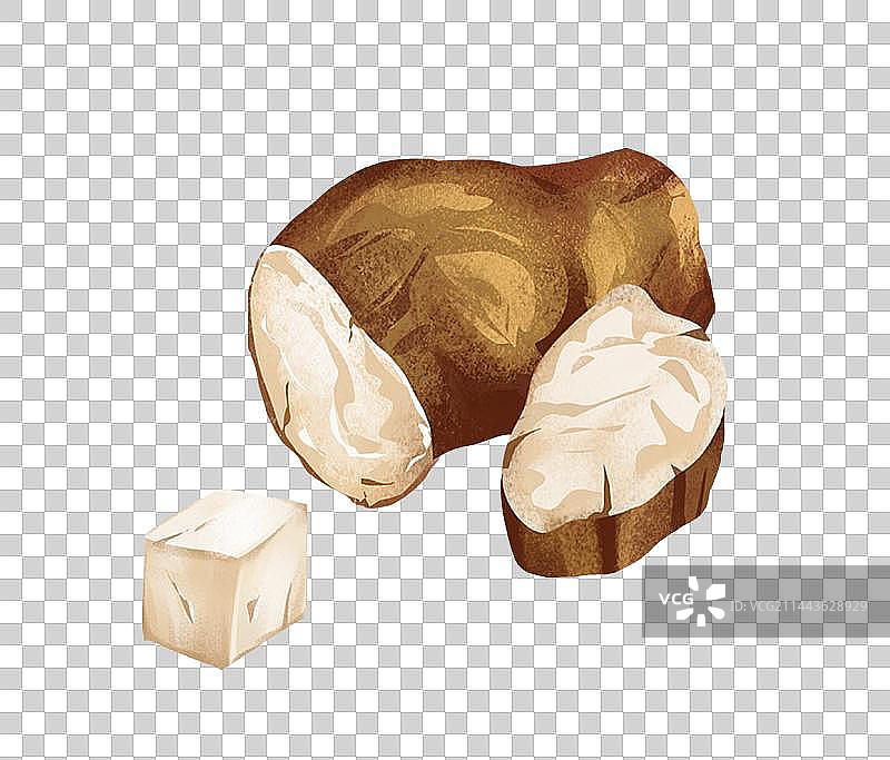 中国传统文化中草药药材之 茯苓图片素材