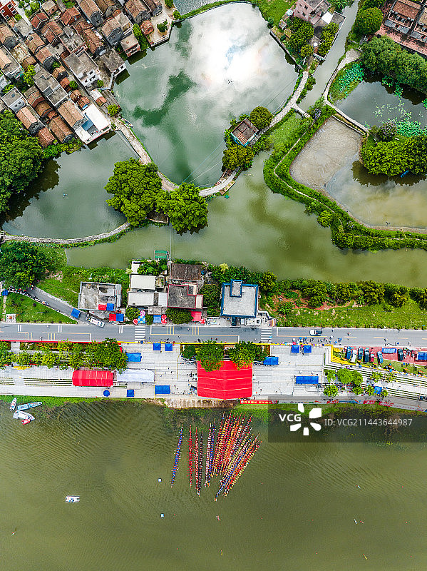 中国江门市鹤山市华侨城古劳水乡赛龙舟图片素材