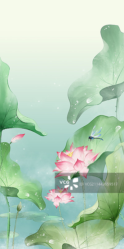 竖版清新夏天荷花荷叶手绘水彩壁纸插画图片素材