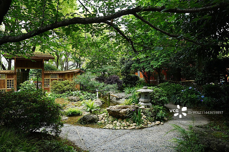 上海植物园图片素材