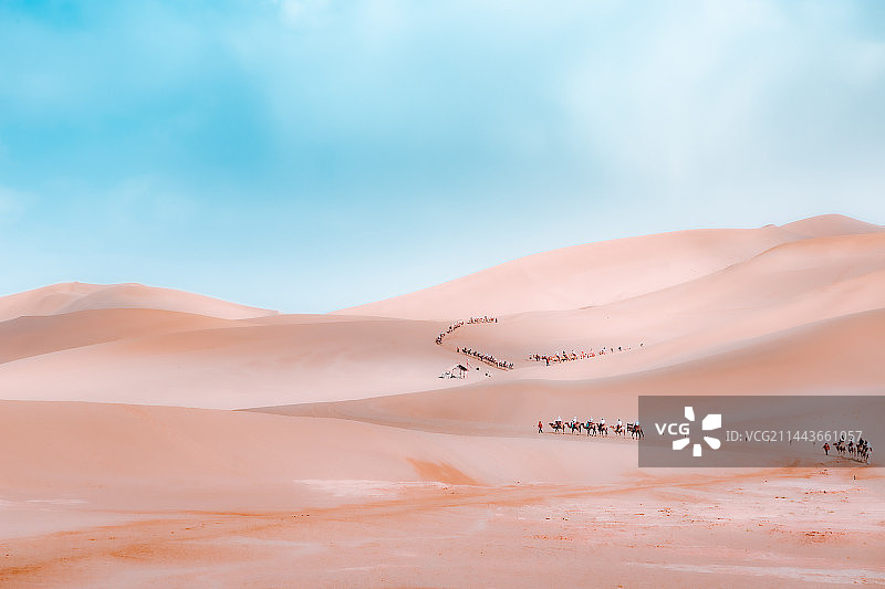 行走沙丘的驼队图片素材