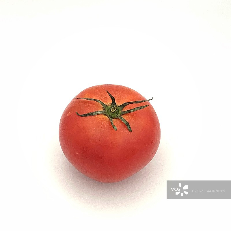 白色背景下的番茄特写镜头图片素材