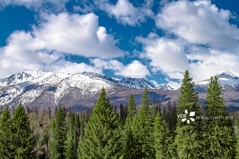 魅力雪山与原始森林图片素材