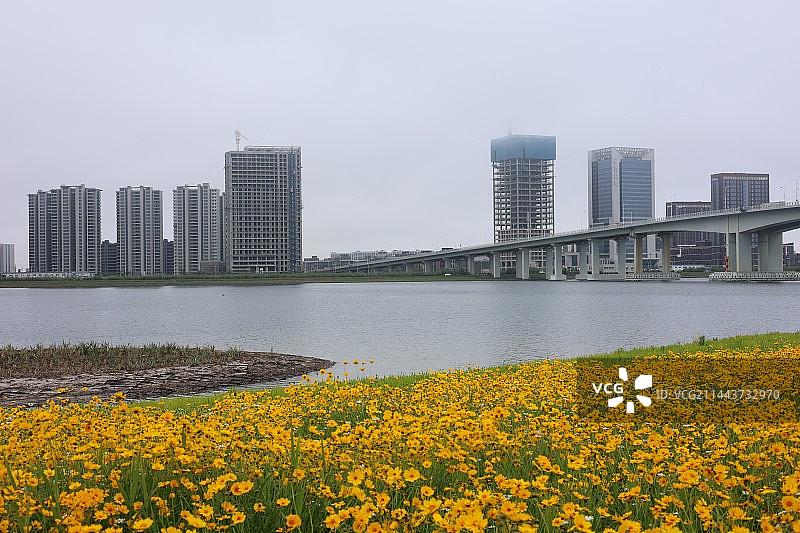 梅山湾花海图片素材