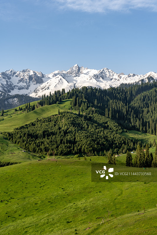 新疆伊犁恰西草原图片素材